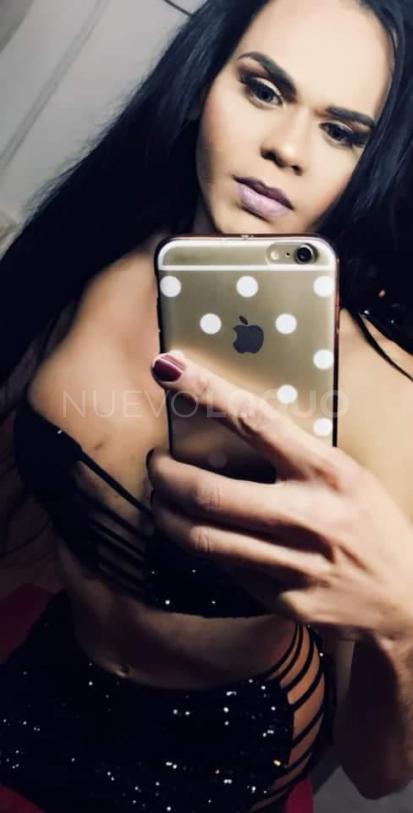 NuevoLoquo2