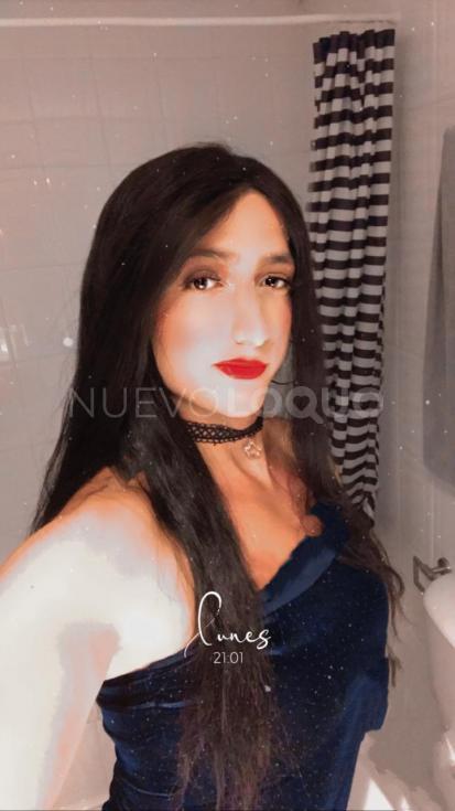 NuevoLoquo2