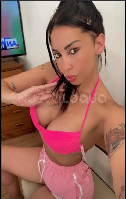 NuevoLoquo2
