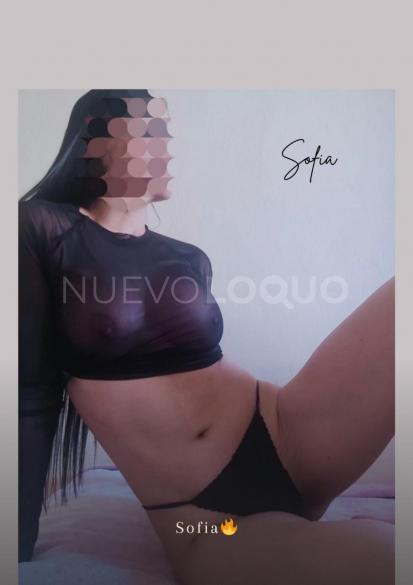 NuevoLoquo2