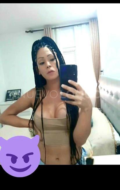 NuevoLoquo3