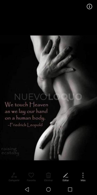 NuevoLoquo5