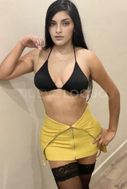 NuevoLoquo3