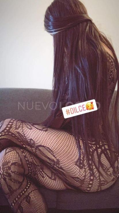 NuevoLoquo3