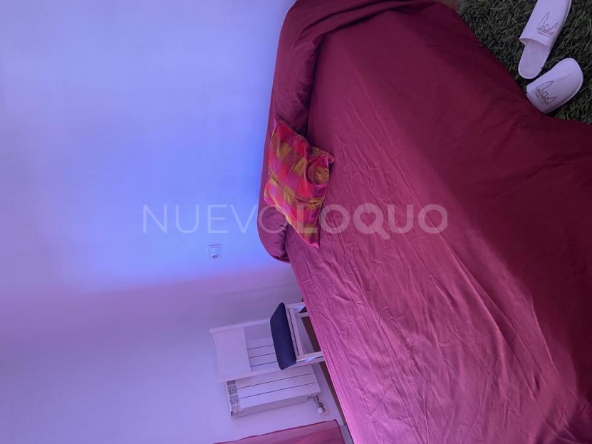 NuevoLoquo1