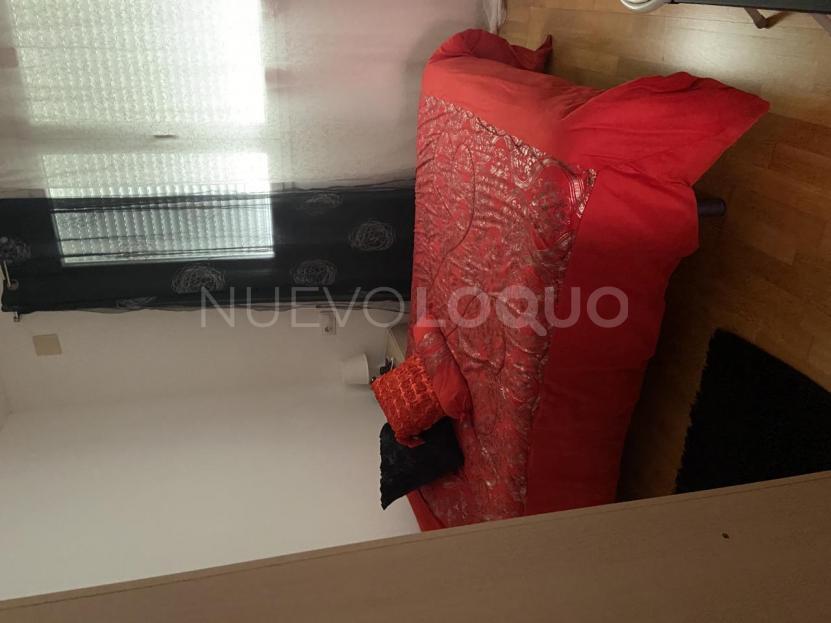 NuevoLoquo3