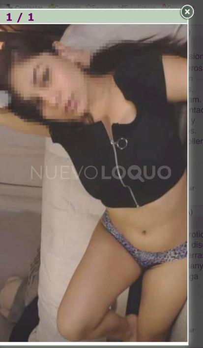 NuevoLoquo2
