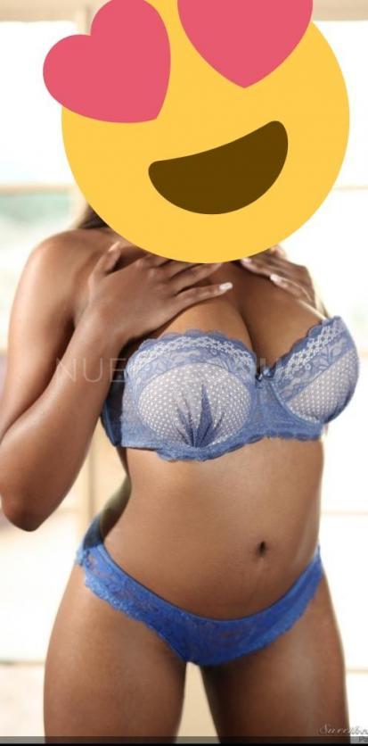 NuevoLoquo3