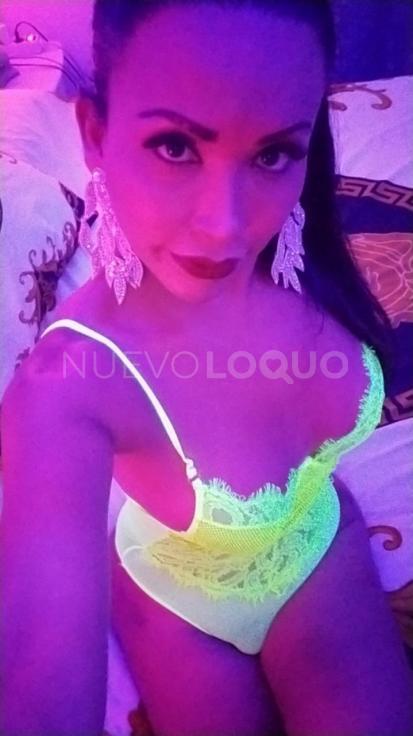 NuevoLoquo3