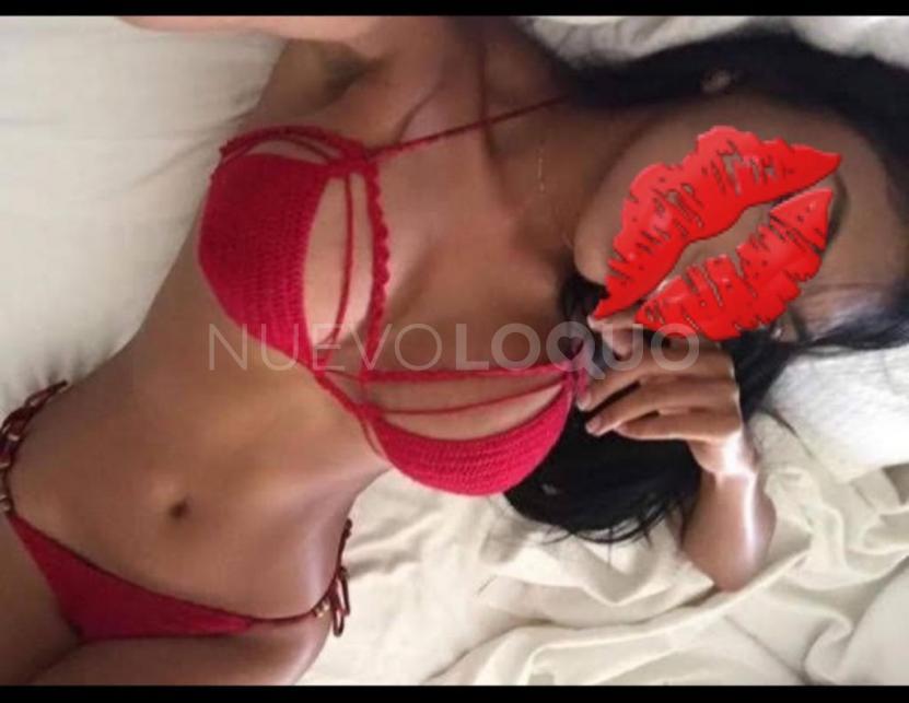 NuevoLoquo2