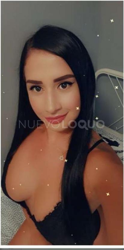NuevoLoquo2