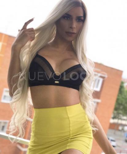 NuevoLoquo3