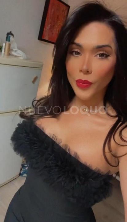 NuevoLoquo3