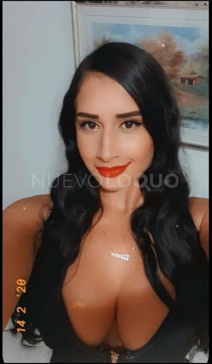 NuevoLoquo2