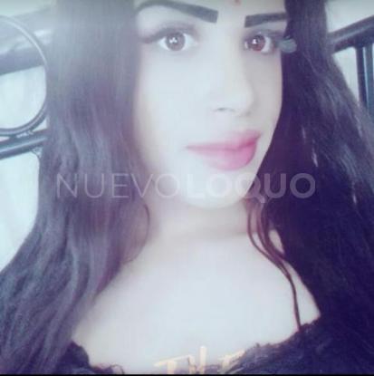 NuevoLoquo4