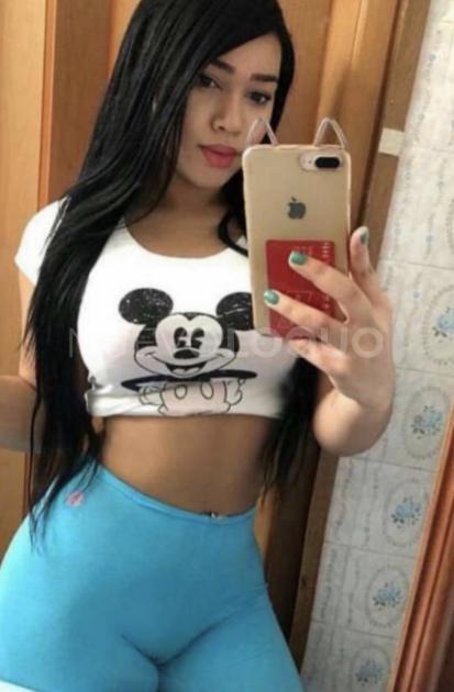 NuevoLoquo2