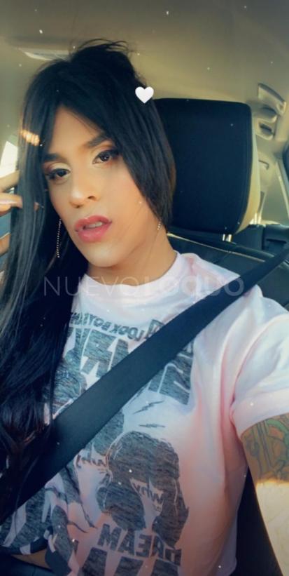  TIFFANY    CALIENTE