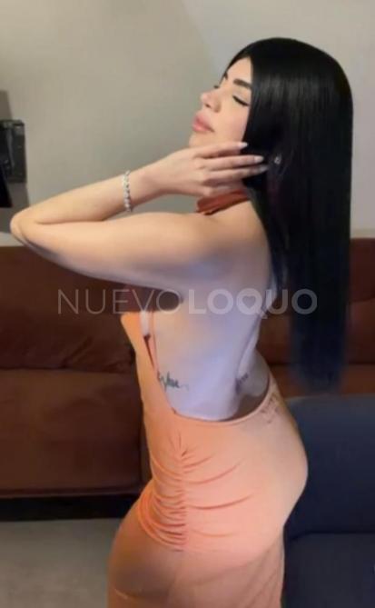 NuevoLoquo2