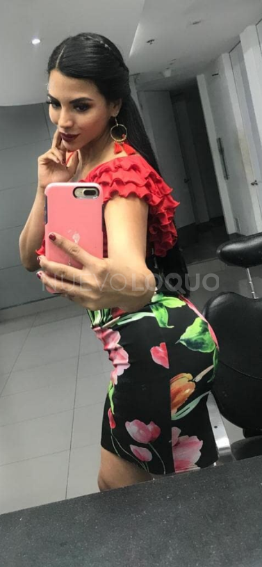 NuevoLoquo1