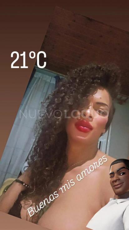 NuevoLoquo3