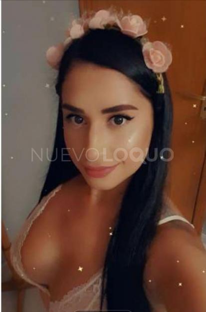 NuevoLoquo2