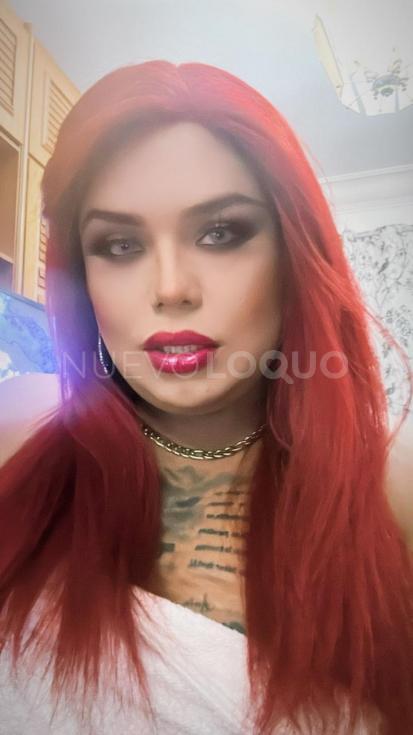 NuevoLoquo2