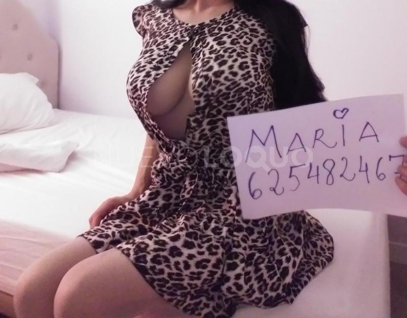NuevoLoquo1