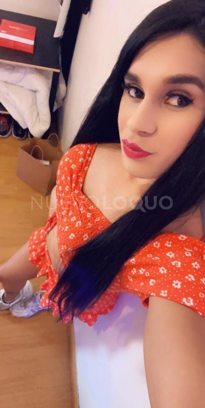 NuevoLoquo1
