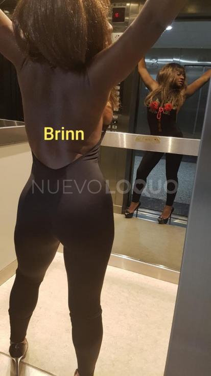 NuevoLoquo2