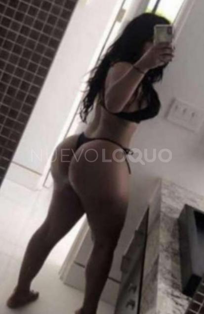 NuevoLoquo3