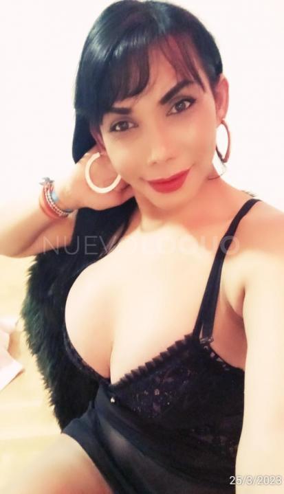 NuevoLoquo3
