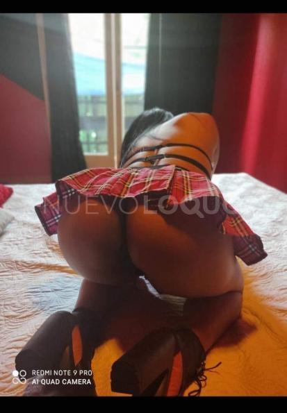 NuevoLoquo3