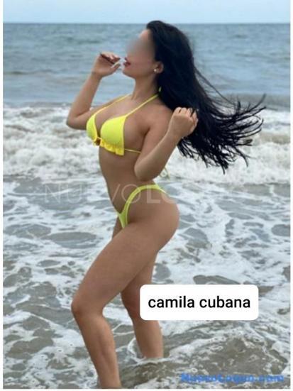 NuevoLoquo1