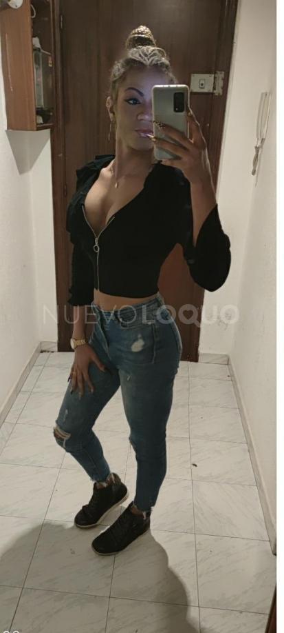 NuevoLoquo3