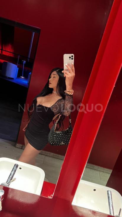 NuevoLoquo3