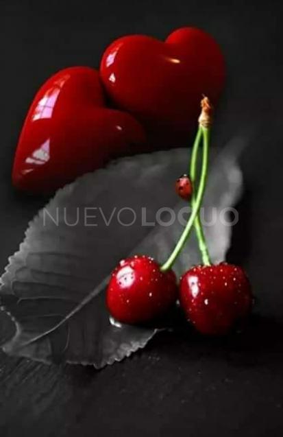 NuevoLoquo0
