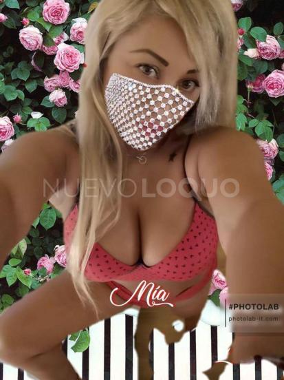 NuevoLoquo3