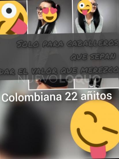 NuevoLoquo2