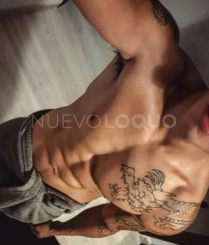 NuevoLoquo3