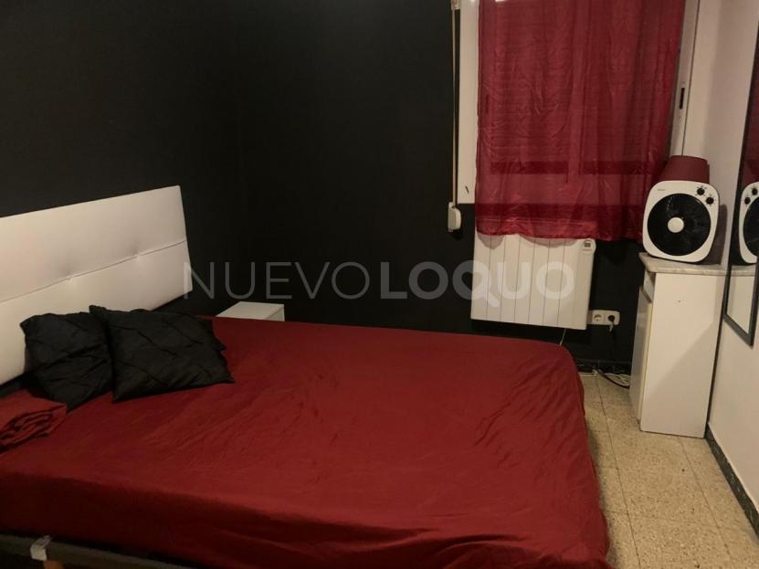 NuevoLoquo4