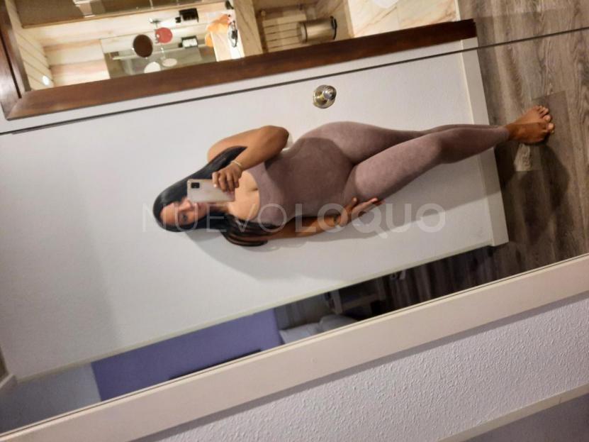NuevoLoquo2