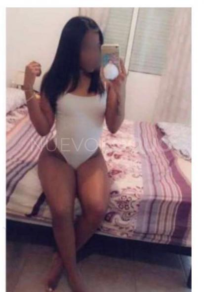 NuevoLoquo3