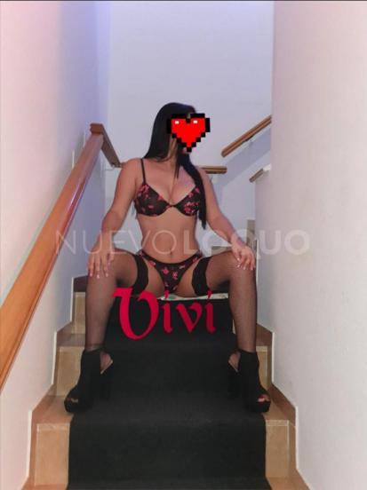 NuevoLoquo3