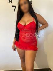 Paloma paraguaya Novedad