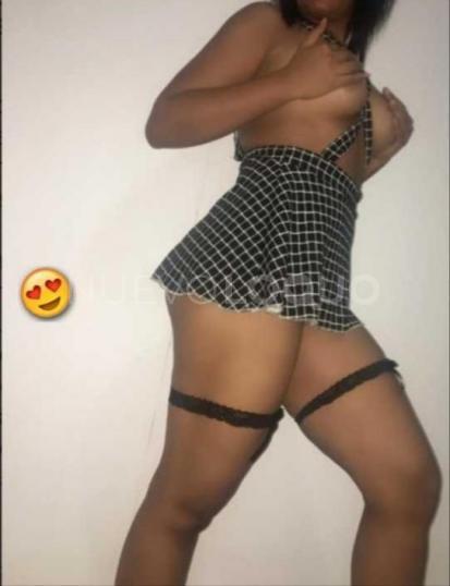 NuevoLoquo3