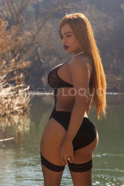 NuevoLoquo1