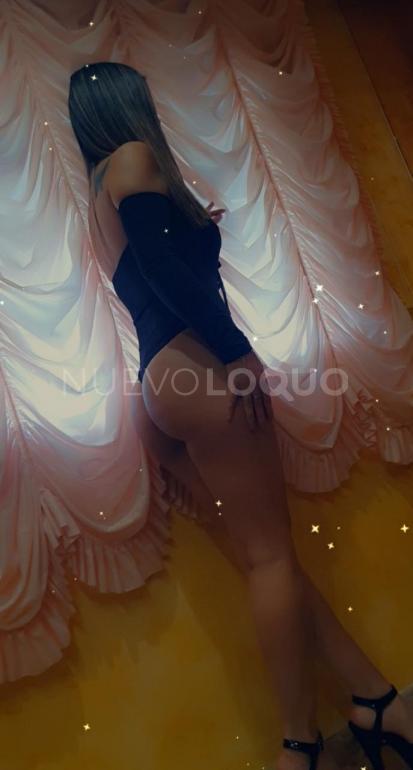 NuevoLoquo3