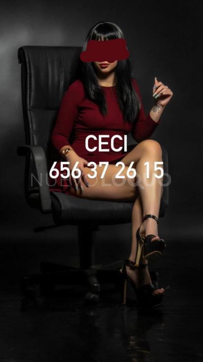 contactos pasion