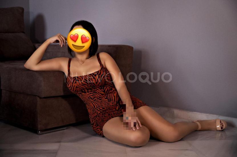 NuevoLoquo3