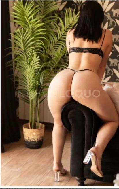 NuevoLoquo3